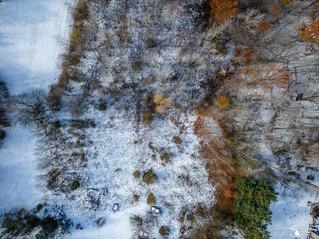 8180 Summerfield Road, Summerfield Twp, MI 49270