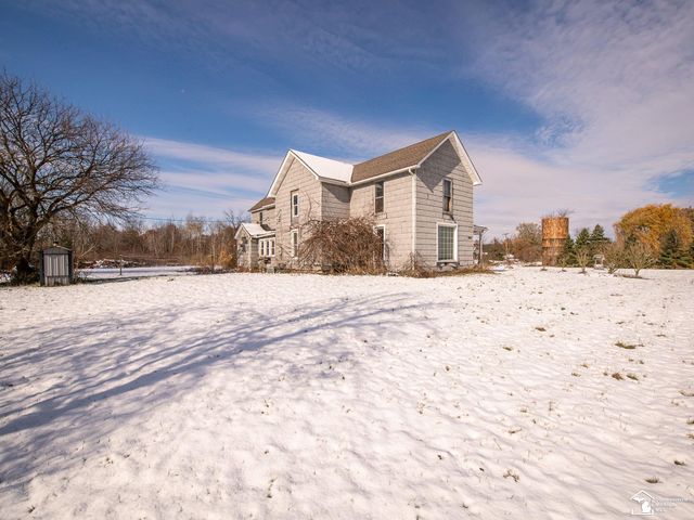 8180 Summerfield Road, Summerfield Twp, MI 49270