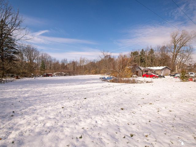 8180 Summerfield Road, Summerfield Twp, MI 49270