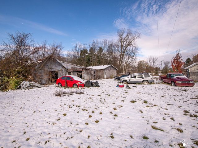 8180 Summerfield Road, Summerfield Twp, MI 49270