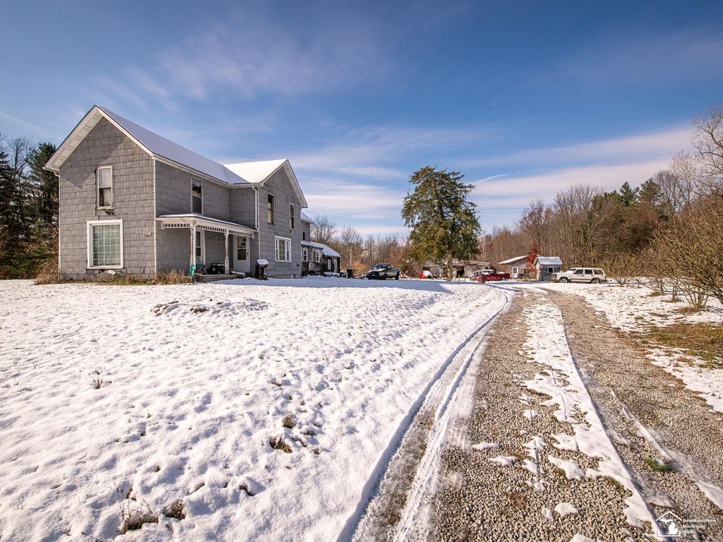 8180 Summerfield Road, Summerfield Twp, MI 49270