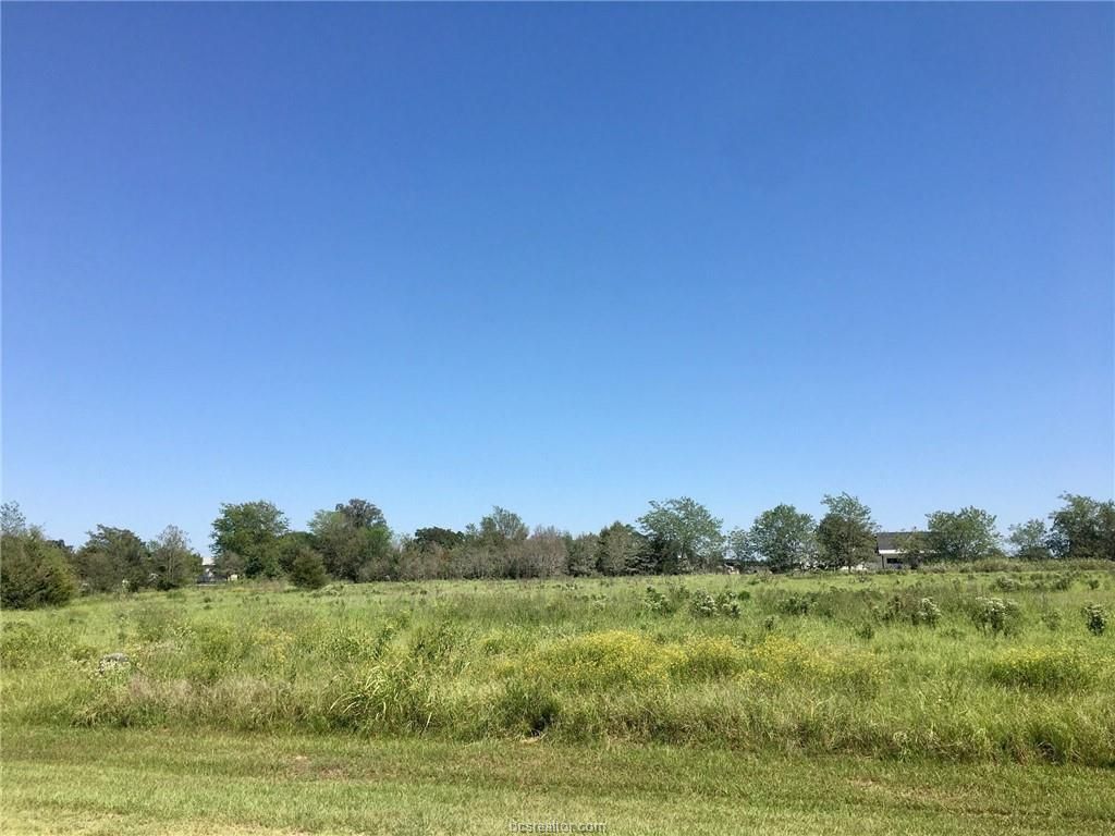TBD Scarborough Drive, Iola, TX 77861 — photo 5