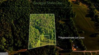 TR 1&2 W Gum Log Road, Warne, NC 28909
