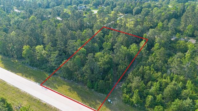 333 Iron Horse Road, New Waverly, TX 77358