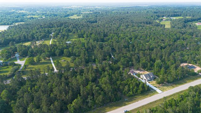 333 Iron Horse Road, New Waverly, TX 77358
