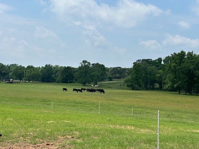 9102 County Road 3816, Athens, TX 75752