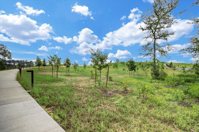 1711 Allen Parkway 2506, Houston, TX 77019