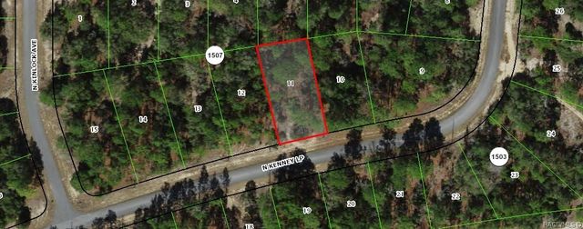 11340 N Kenney Loop, Citrus Springs, FL 34433
