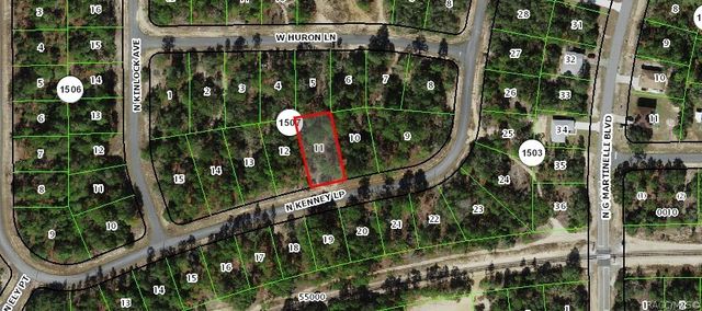 11340 N Kenney Loop, Citrus Springs, FL 34433