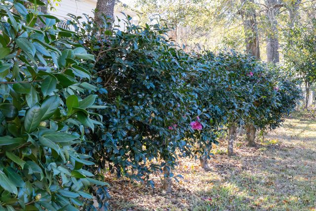 125 Lee Street, Thomson, GA 30824