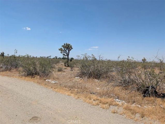 5 Dos Palmas, Pinon Hills, CA 92372