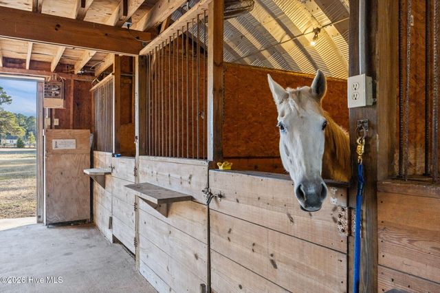 108 Young Rider Lane, Grandy, NC 27939