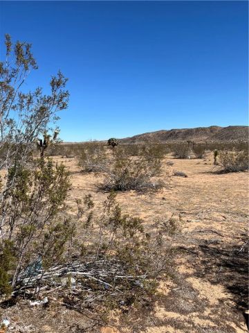 0 Avalon, Landers, CA 92285