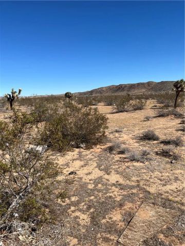 0 Avalon, Landers, CA 92285