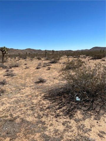 0 Avalon, Landers, CA 92285