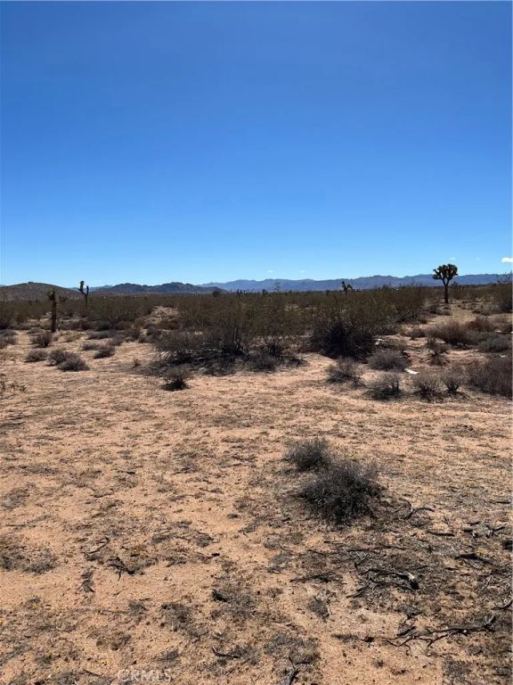 0 Avalon, Landers, CA 92285