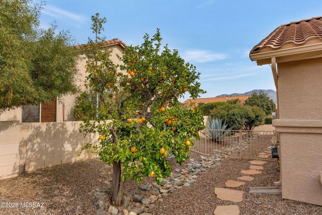 38845 S Rock Wood Drive, Tucson, AZ 85739