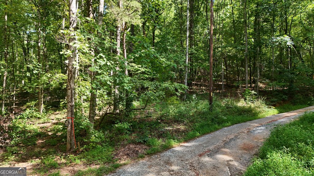 LOT 182 Hillside Drive, Clarkesville, GA 30523 — photo 2