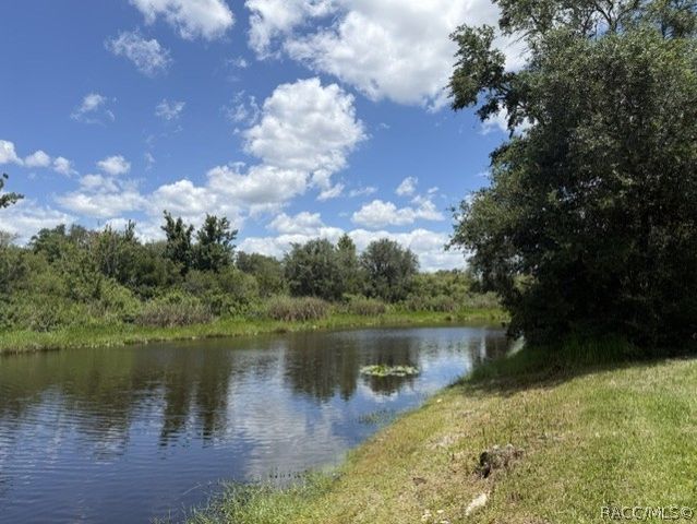 6466 N Lakeside Drive, Hernando, FL 34442