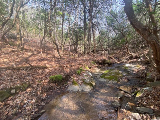 11 Ludlum Drive, Hayesville, NC 28904