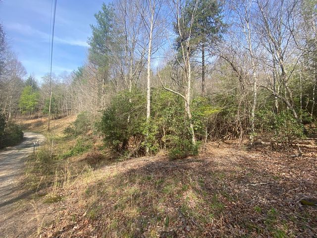 11 Ludlum Drive, Hayesville, NC 28904