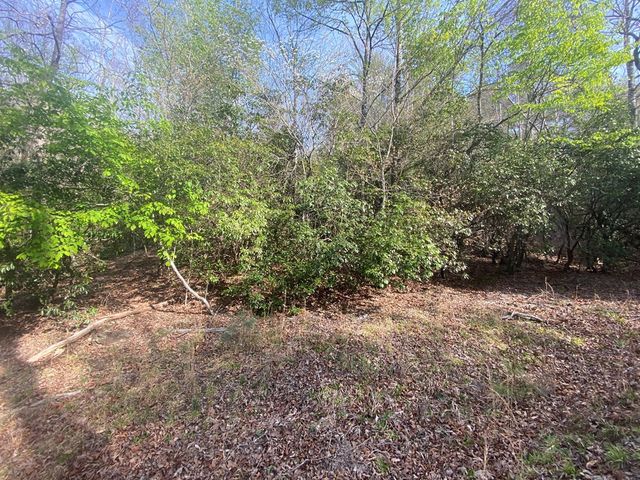 11 Ludlum Drive, Hayesville, NC 28904