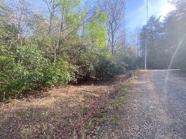 11 Ludlum Drive, Hayesville, NC 28904