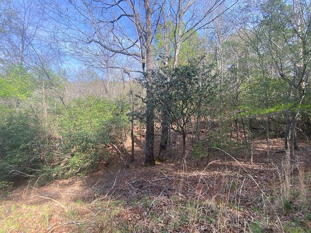 11 Ludlum Drive, Hayesville, NC 28904