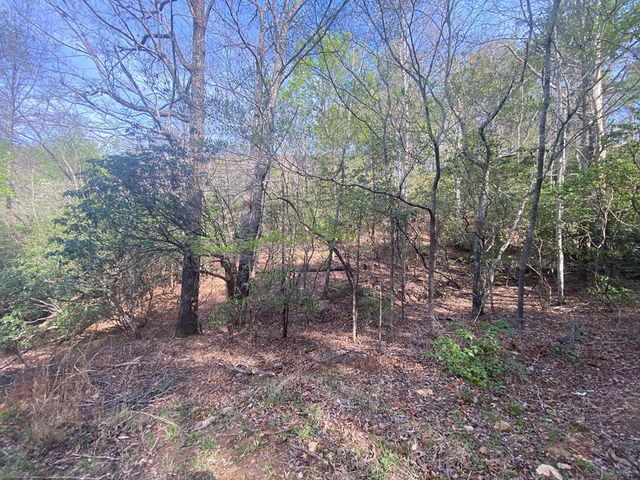 11 Ludlum Drive, Hayesville, NC 28904