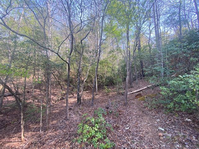 11 Ludlum Drive, Hayesville, NC 28904