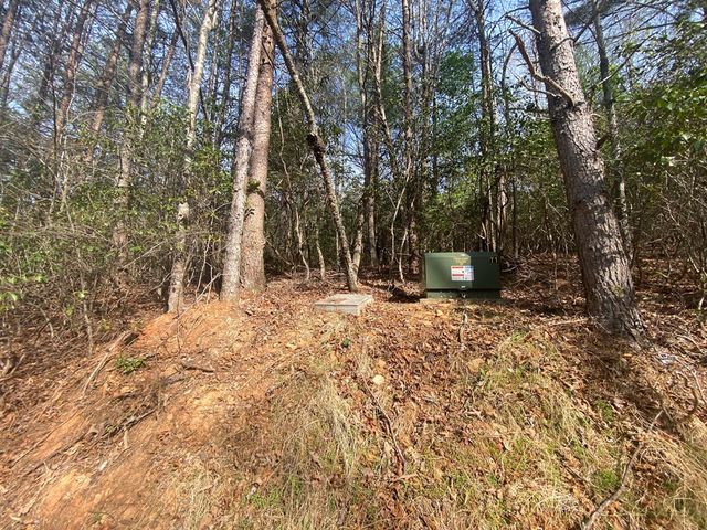 11 Ludlum Drive, Hayesville, NC 28904