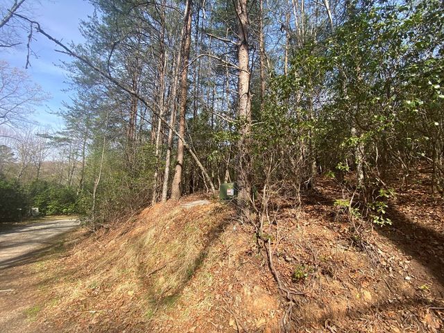 11 Ludlum Drive, Hayesville, NC 28904