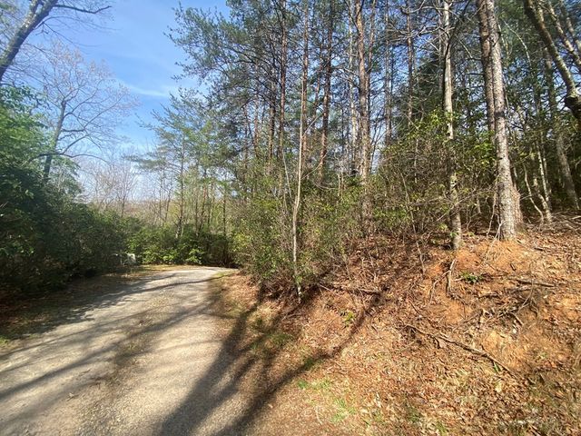 11 Ludlum Drive, Hayesville, NC 28904