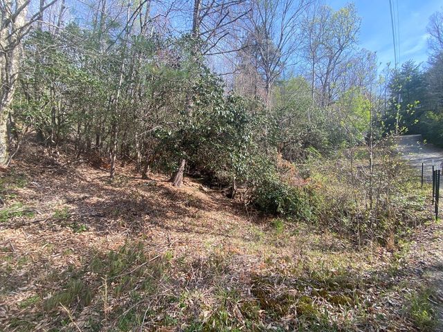 11 Ludlum Drive, Hayesville, NC 28904