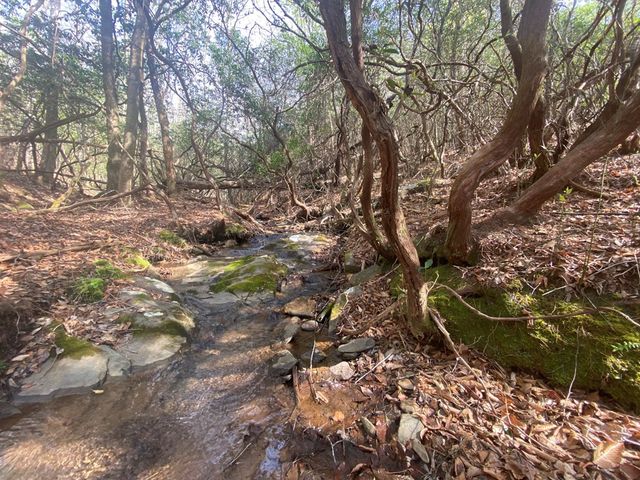 11 Ludlum Drive, Hayesville, NC 28904