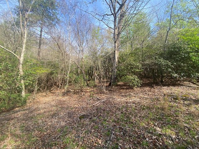 11 Ludlum Drive, Hayesville, NC 28904