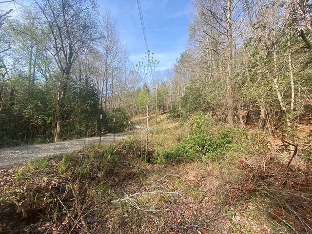 11 Ludlum Drive, Hayesville, NC 28904
