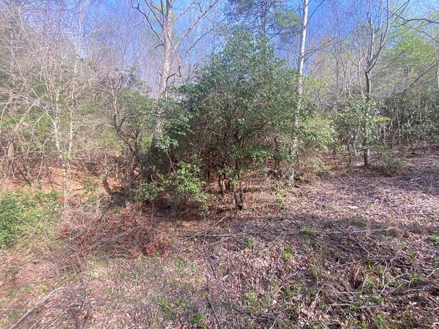 11 Ludlum Drive, Hayesville, NC 28904