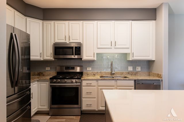 1705 Pavilion Way 503, Park Ridge, IL 60068