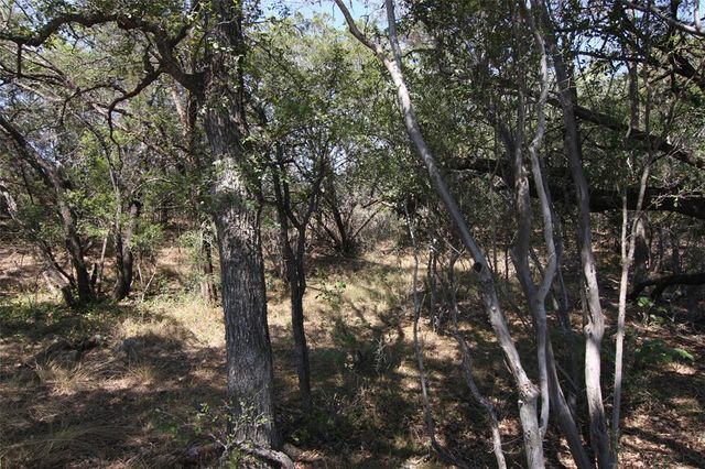 LOT 78 Laurel Wood CT, Spicewood, TX 78669