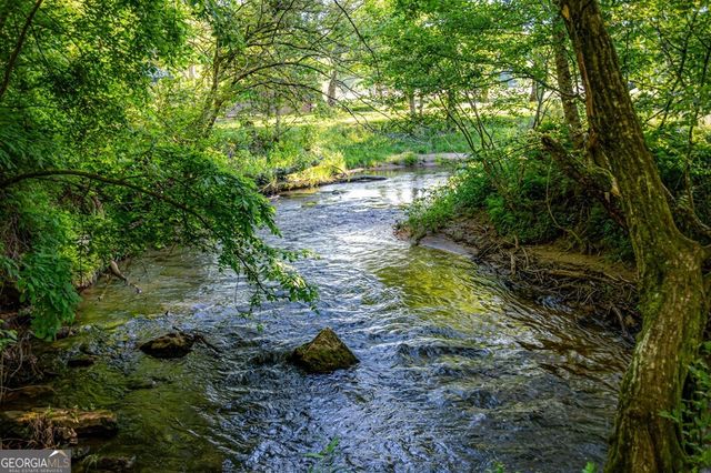 390 Sunnybrook Road, Blue Ridge, GA 30513