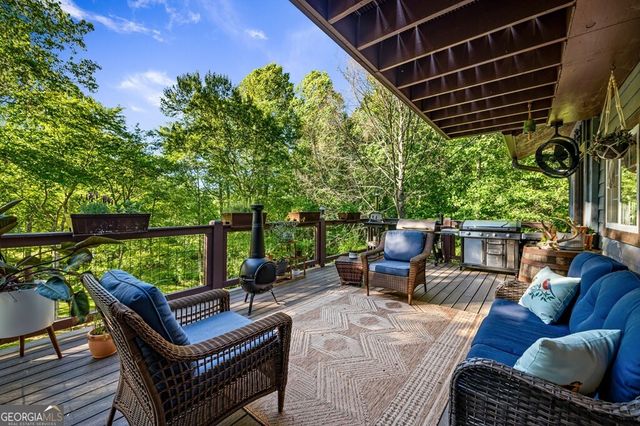 390 Sunnybrook Road, Blue Ridge, GA 30513