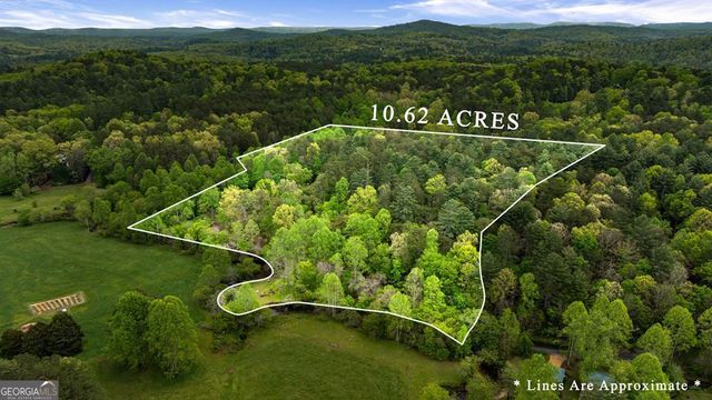 390 Sunnybrook Road, Blue Ridge, GA 30513