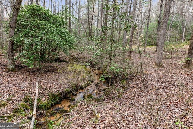 390 Sunnybrook Road, Blue Ridge, GA 30513