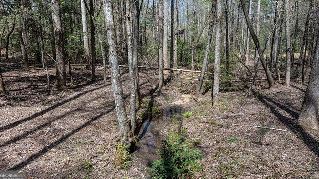 390 Sunnybrook Road, Blue Ridge, GA 30513