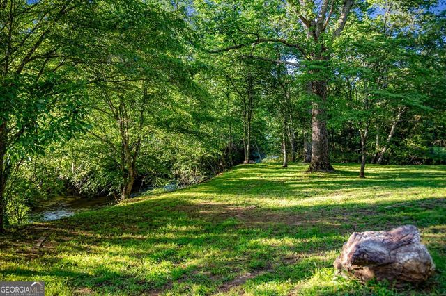 390 Sunnybrook Road, Blue Ridge, GA 30513