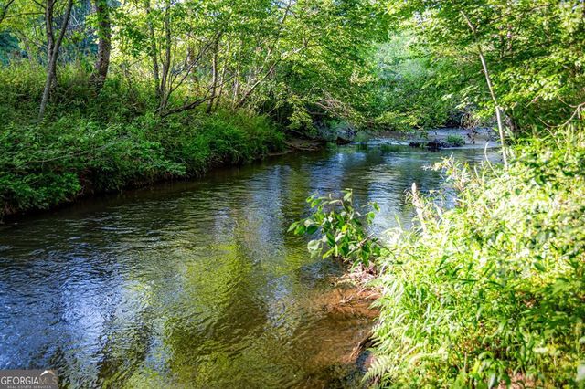 390 Sunnybrook Road, Blue Ridge, GA 30513