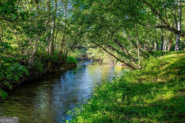 390 Sunnybrook Road, Blue Ridge, GA 30513