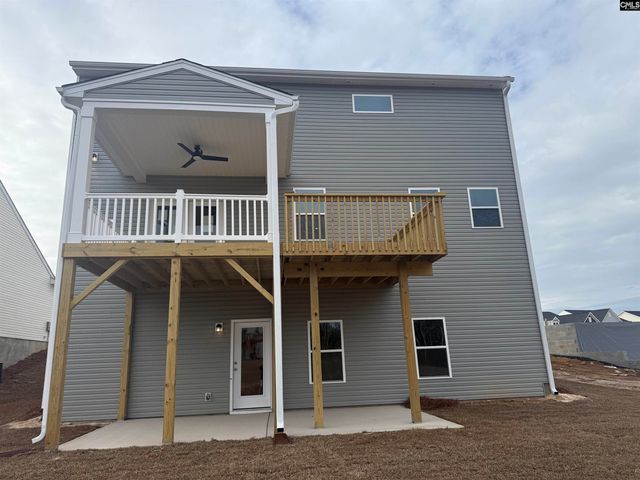 358 Chapin Place Way, Chapin, SC 29036