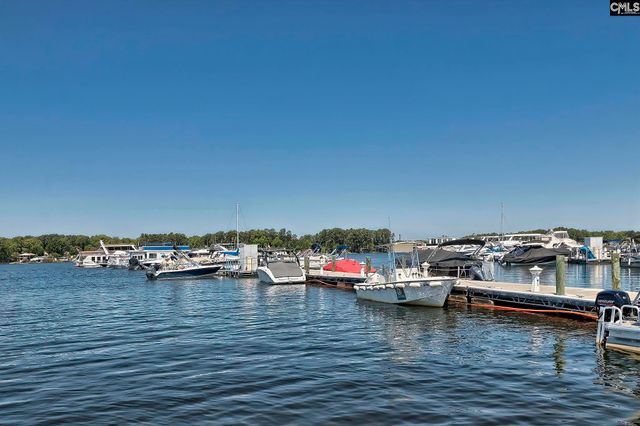 358 Chapin Place Way, Chapin, SC 29036